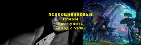 гидропоника Вяземский