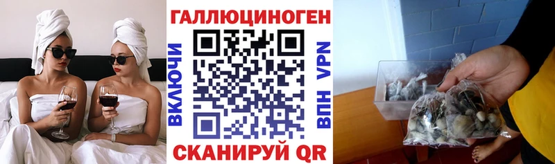 Псилоцибиновые грибы Magic Shrooms  Копейск 